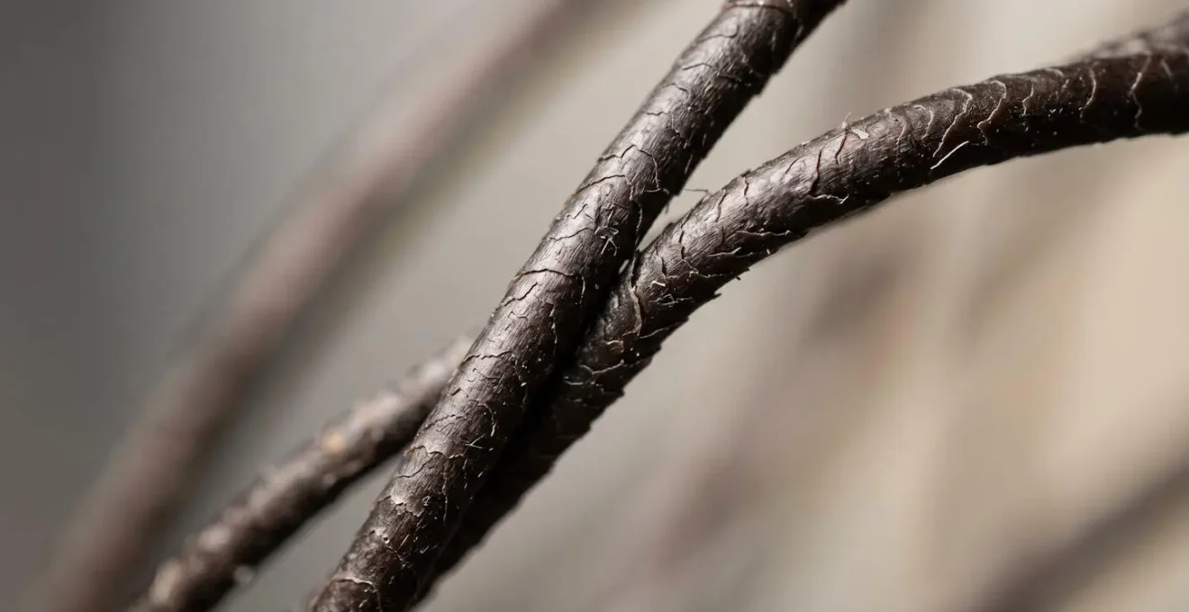 Gros plan macro sur des mèches de cheveux montrant la texture et la friction naturelle